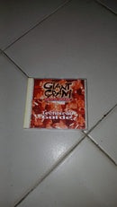 Giant Gram 2 – Technical Guide – Dreamcast (Japonês)